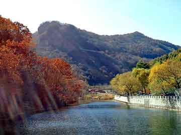 新澳天天开奖资料大全旅游团，天津黄页